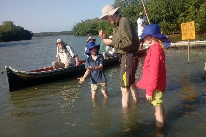 Ecoruta Volcán del Totumo and experience in the Mangroves image