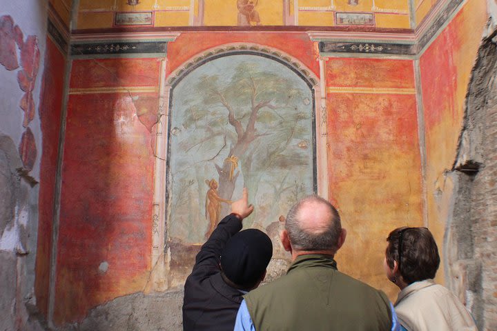 Skip-the-Line Ancient Pompeii, Oplontis & Herculaneum Sites Private Guided Tour image