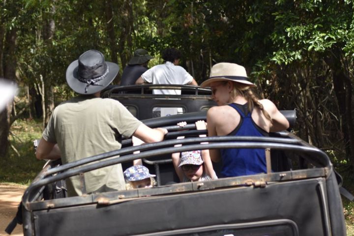 Private Jeep Safari at Minneriya to Visit Elephant Gathering image