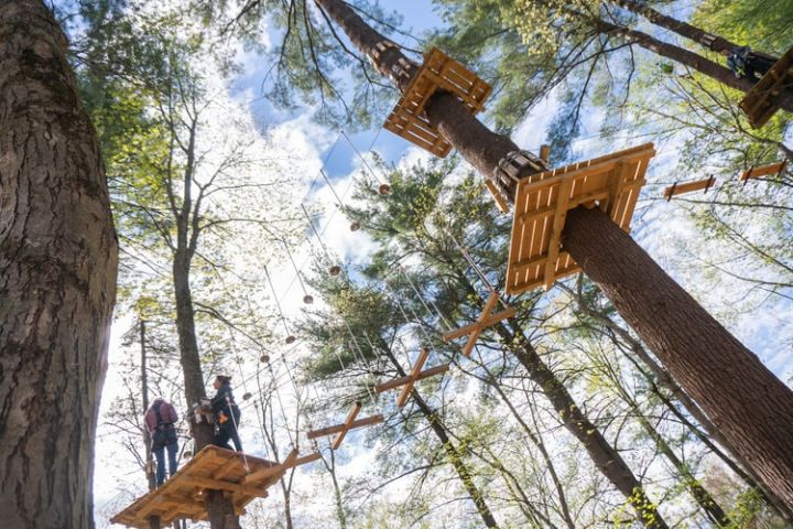 Tree Top Climbing and Zipline Experience near Boston image