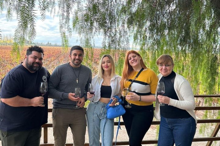 Mendoza Vineyards Wine Tasting Tour image