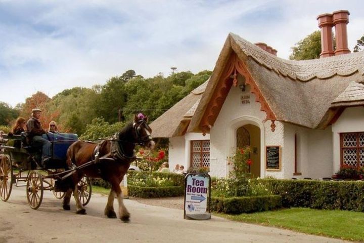 Jaunting Car Tour to Ross Castle from Killarney image