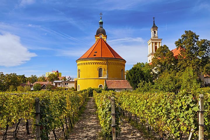 Wine Tasting in Modra from Bratislava, Slovakia image