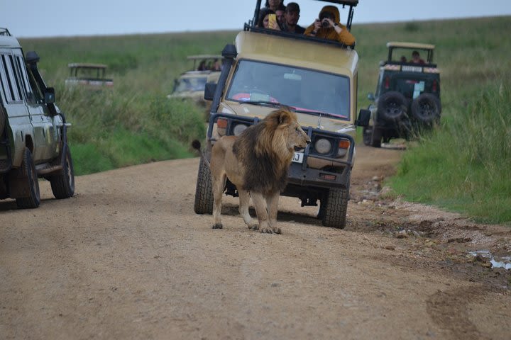 5 Day Private Lodge & Camping Tour of Tarangire, Serengeti & Ngorongoro Crater  image