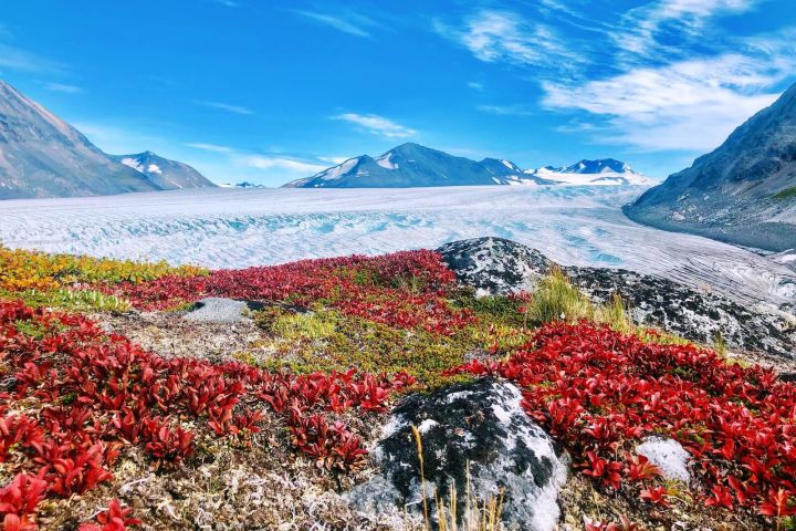 5-day Kenai Mountains & Glaciers Base Camp image