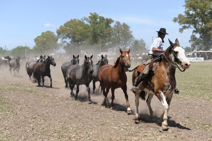 Authentic Gaucho Day Trip at Don Silvano Ranch image