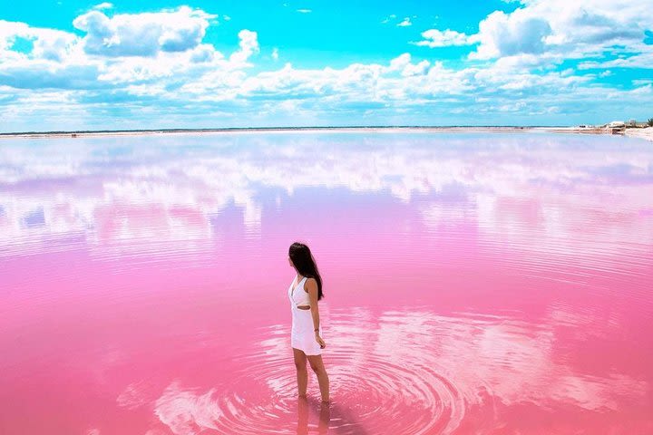 Tour Las Coloradas, Natural Pink Lake! Round Transportation image