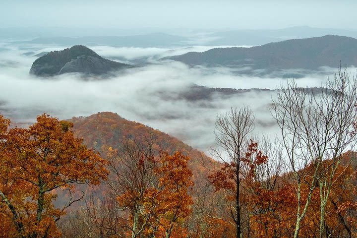 Full-Day Tour With Instruction in Vistas & Waterfall Photography image