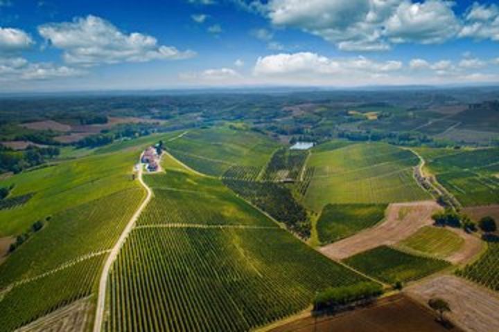 Family-run estate visit with a local winemaker in Monferrato image