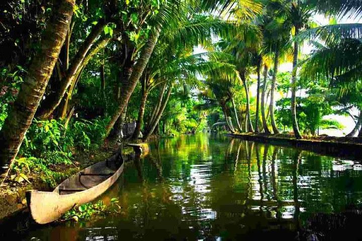 Cochin Heritage Tour With Alleppey Houseboat Cruise image