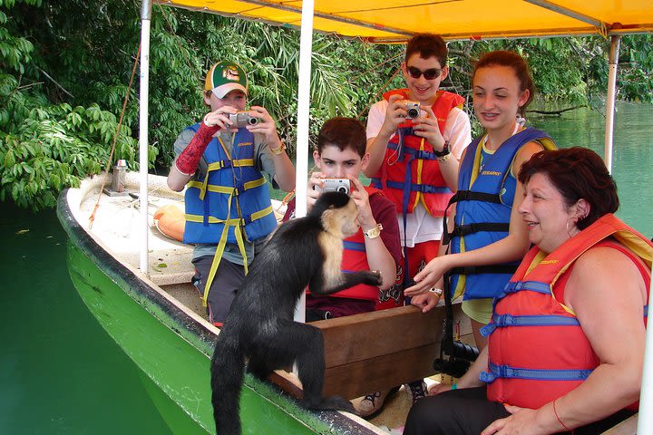 Day tour in Gatun Lake and Monkey Island - All Included (Kayaks, Lunch) image