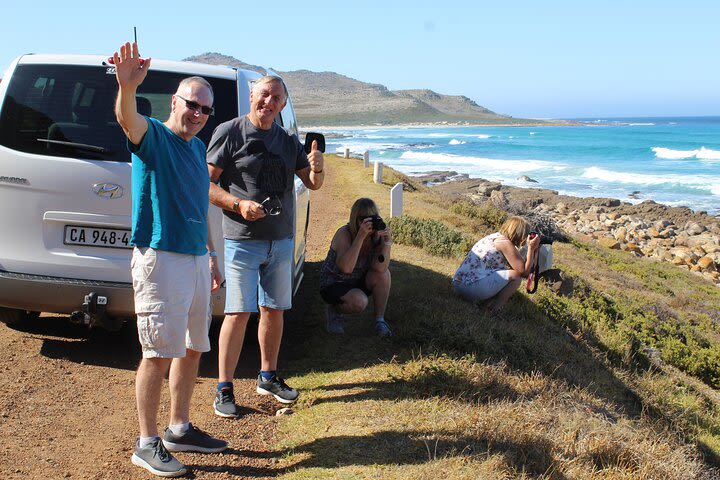 Full-Day Private Tour from Cape Town to Cape of Good Hope image