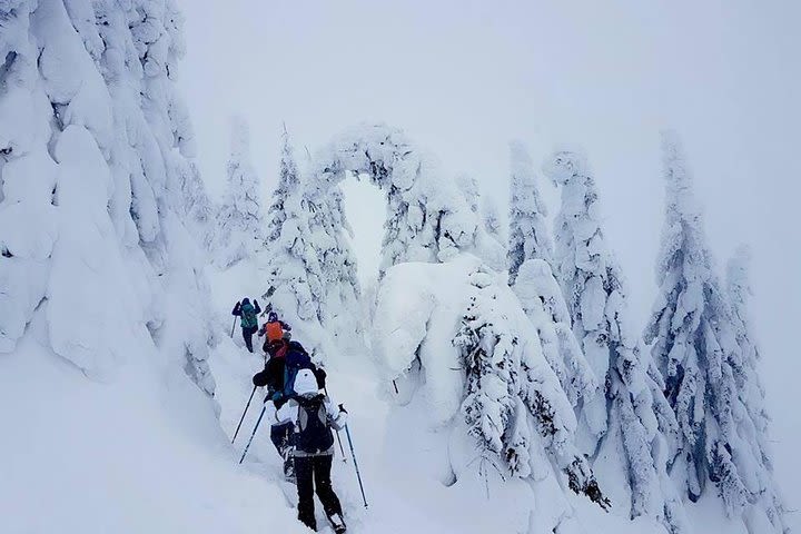 Day Trekking In Ciucas Massif image