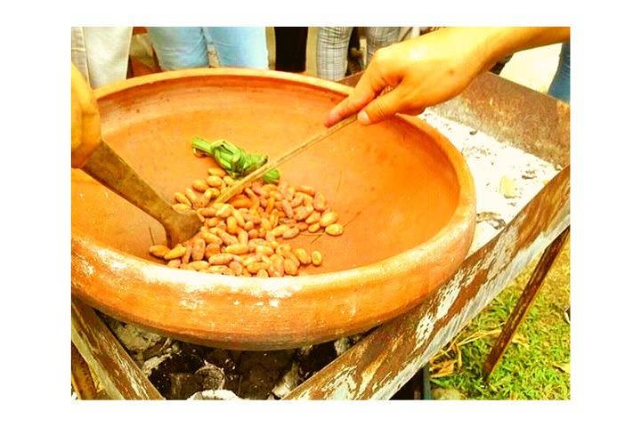 Chocolate and Cacao Tour - Experiential tour at Finca Cumandá image