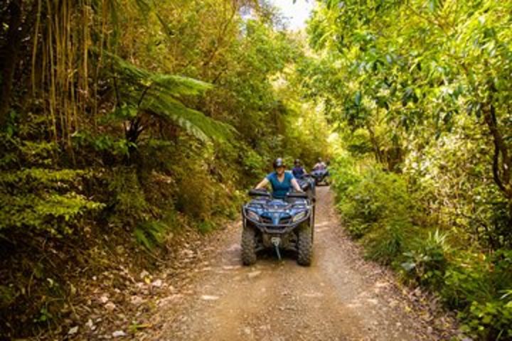 Quad Bike - Farm Forest Ride image