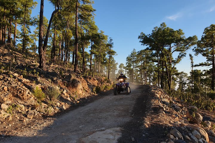 4h Forest Quad Tour on Polaris 500cc Quad image