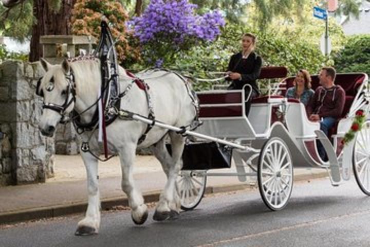 Beacon Hill Park Horse-Drawn Carriage Tour image