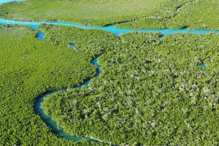 Clear Kayak Tours in Florida Keys image