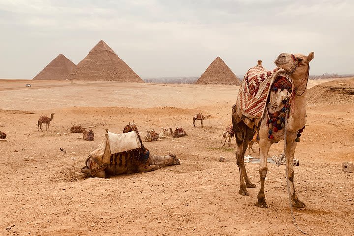 full day private tour to Giza pyramids, sphinx, Egyptian museum and lunch  image