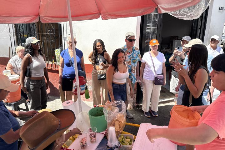 Puerto Vallarta Market-to-Malecón Food Tour image
