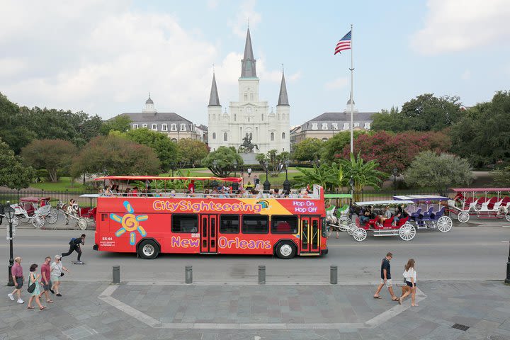 City Sightseeing New Orleans Hop-On Hop-Off Bus Tour image