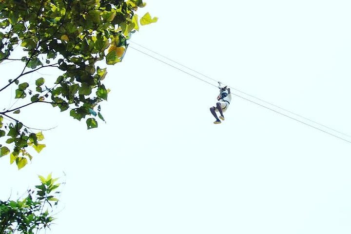 High Ropes Course in Madikeri image