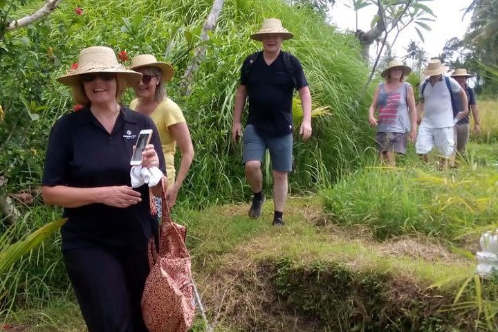 True Bali Experience - Village Trekking image