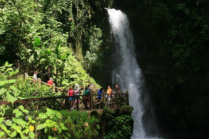 Entrance to La Paz Waterfalls with lunch and transportation image