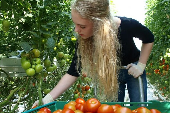 Small Group Golden Circle Tour image