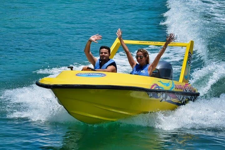 Mangrove Jungle Speedboat Experience  image