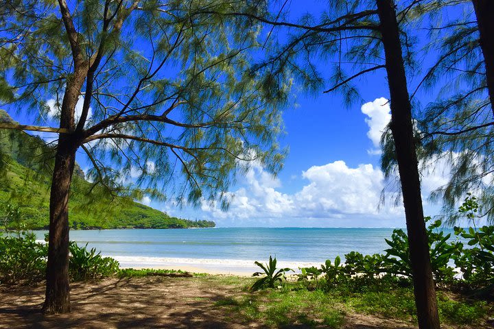 Majestic Circle Island Eco Tour from Ko Olina image