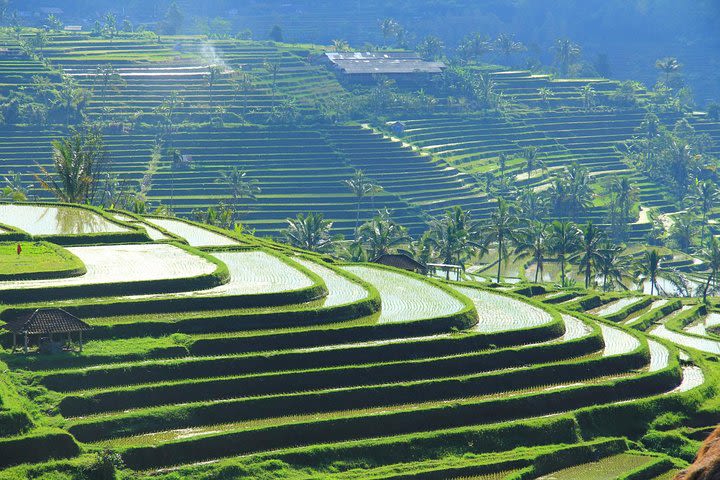 Bali Easy And Flexible Tour image