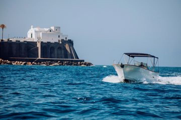 Boat tour of the island of Ischia with goiter 7.50 meters image