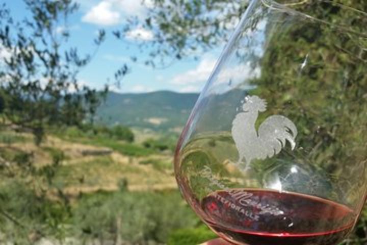 Greve in Chianti Wine Tasting and Winery Tour image