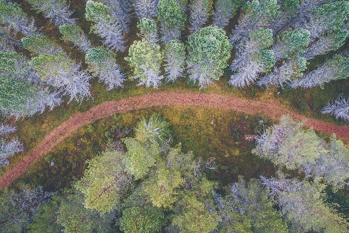 Auttiköngäs Nature Trail image