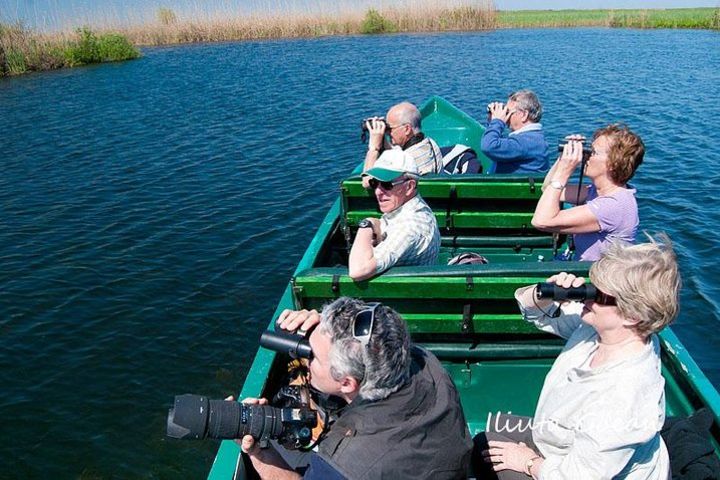 Guided Birdwatching day trip to the Danube Delta - private program image