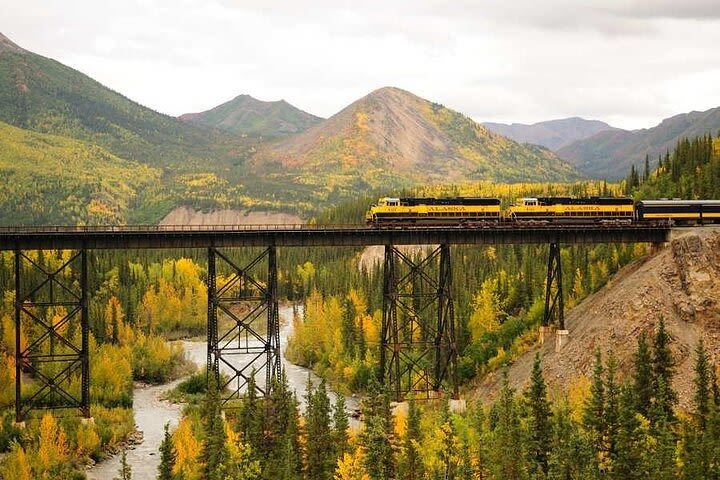 Alaska Railroad Fairbanks to Denali One Way image