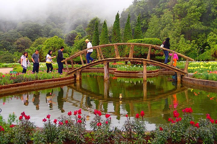 Doi Inthanon National Park & Trekking Pha Dok Siew image