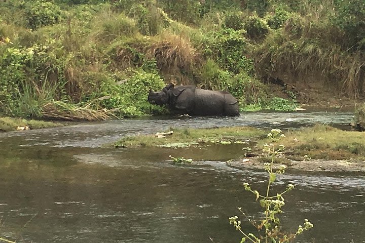  Chitwan National Park  image