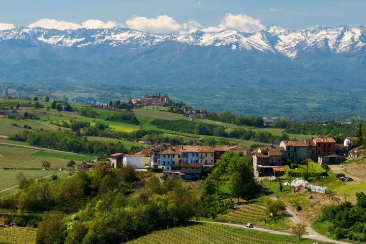 Langhe and Barolo Wine Tour from Turin image