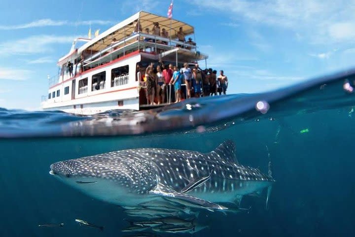 Fun Diving Safari Day Trip From Koh Lanta - Certified Divers image