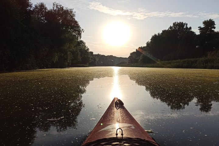 Great War Island Kayak Adventure image