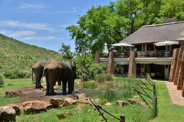 2-Day Pilanesberg Safari at Kwa Maritane Lodge image