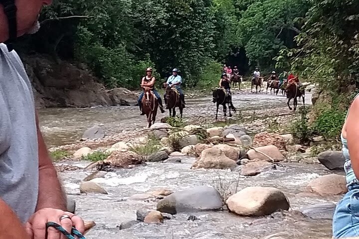 Experience Horse Back Riding & Ziplines  image