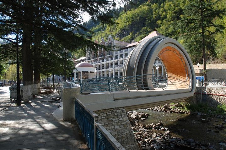 Borjomi & Bakuriani Group Tour image