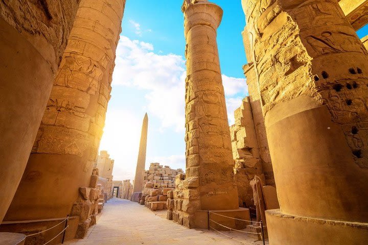 Cairo: Overnight Guided Tour to Luxor by Plane , Entrance Fees image