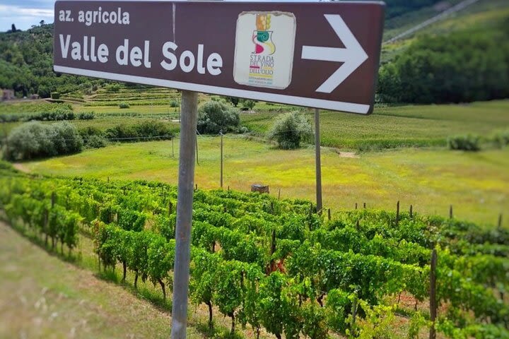 Biking to the Valley of the Wine image