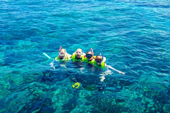 Morning Reef Snorkel & Sail Adventure from Key West image