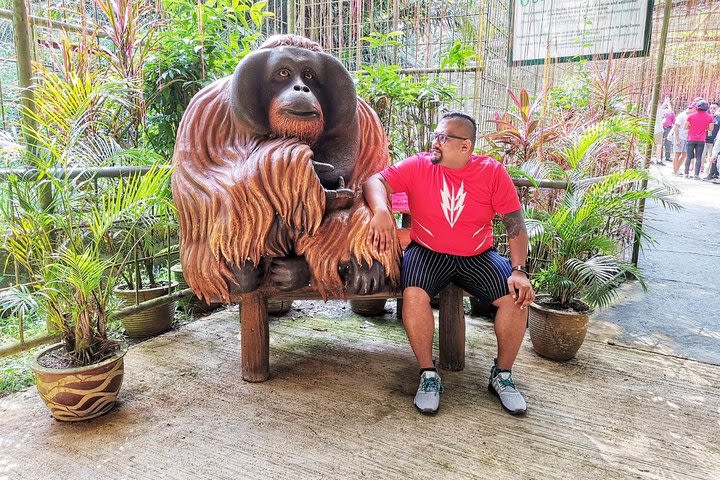 The Rain Town - Taiping & Orang Utan Island Day Tour from Kuala Lumpur image