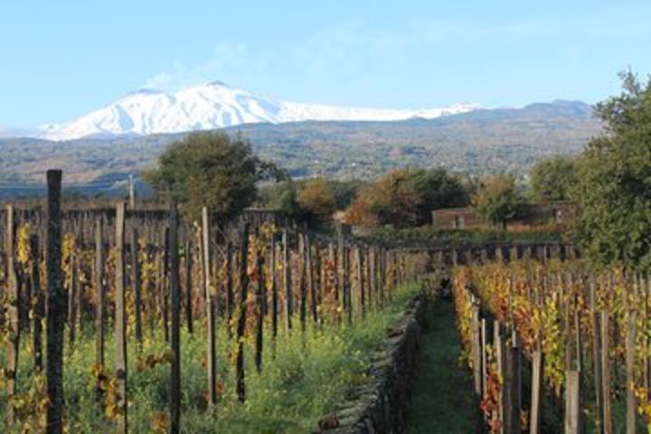 Etna Wineries Tour image